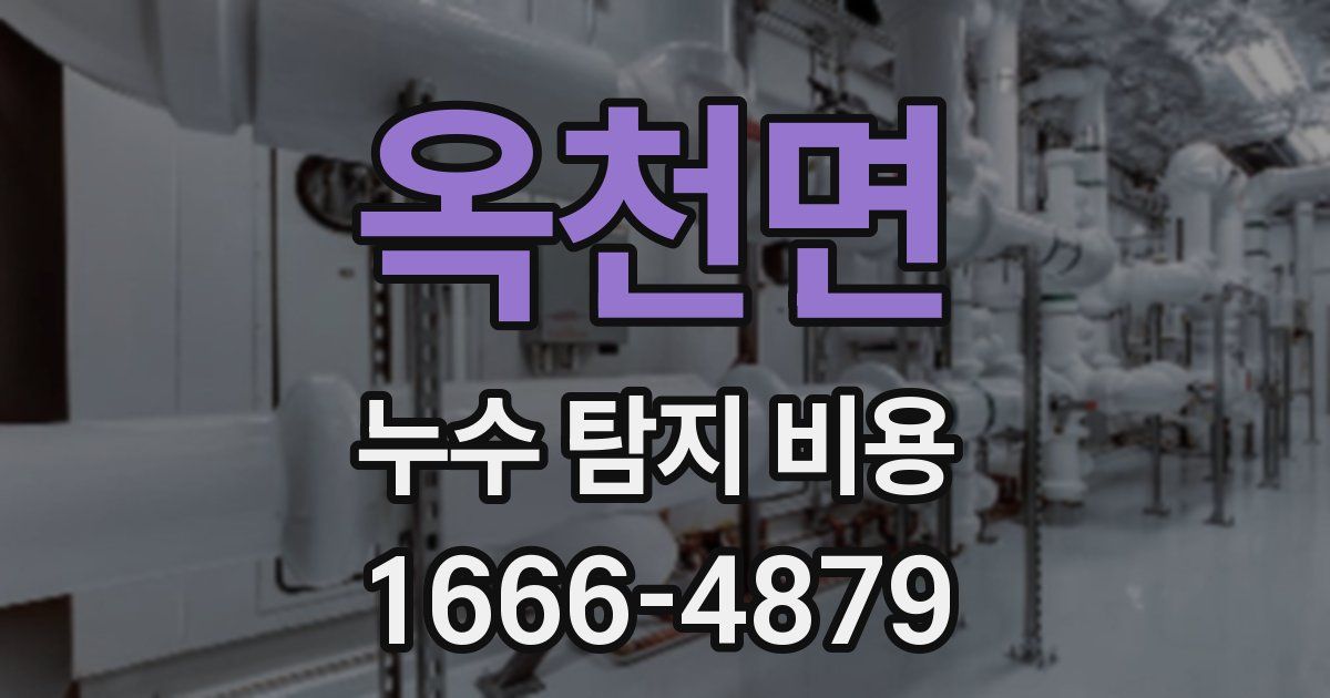 옥천면 누수 탐지 비용