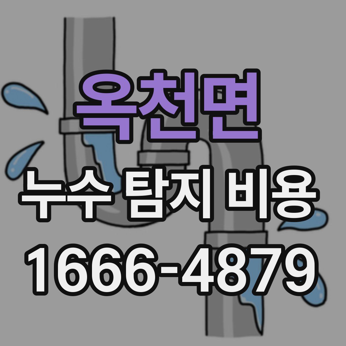 옥천면 누수 탐지 비용