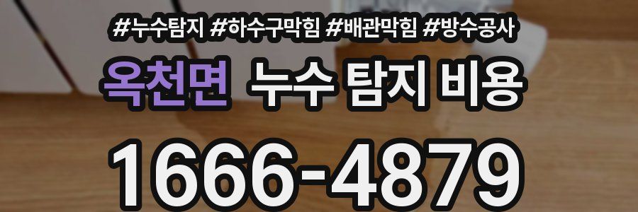옥천면 누수 탐지 비용