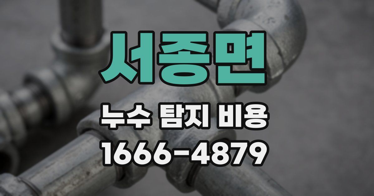 서종면 누수 탐지 비용