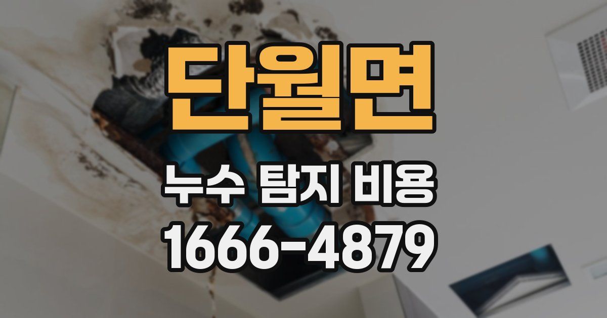 단월면 누수 탐지 비용