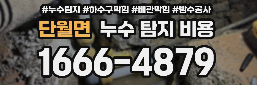 단월면 누수 탐지 비용