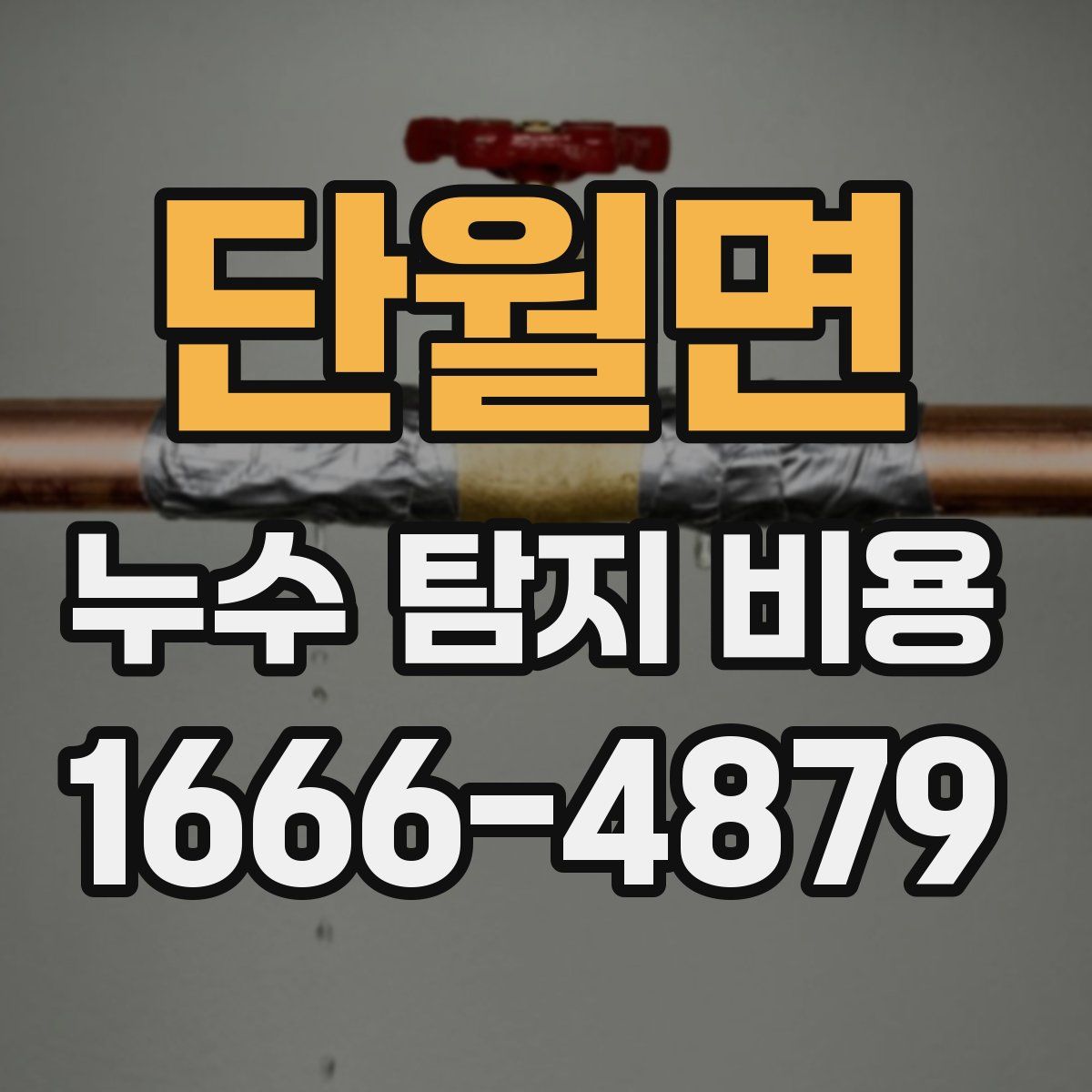 단월면 누수 탐지 비용