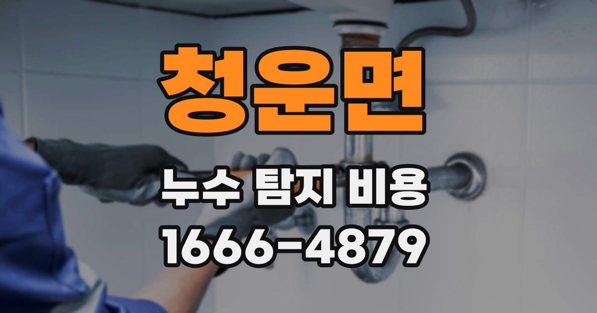 청운면 누수 탐지 비용