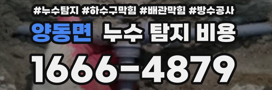 양동면 누수 탐지 비용