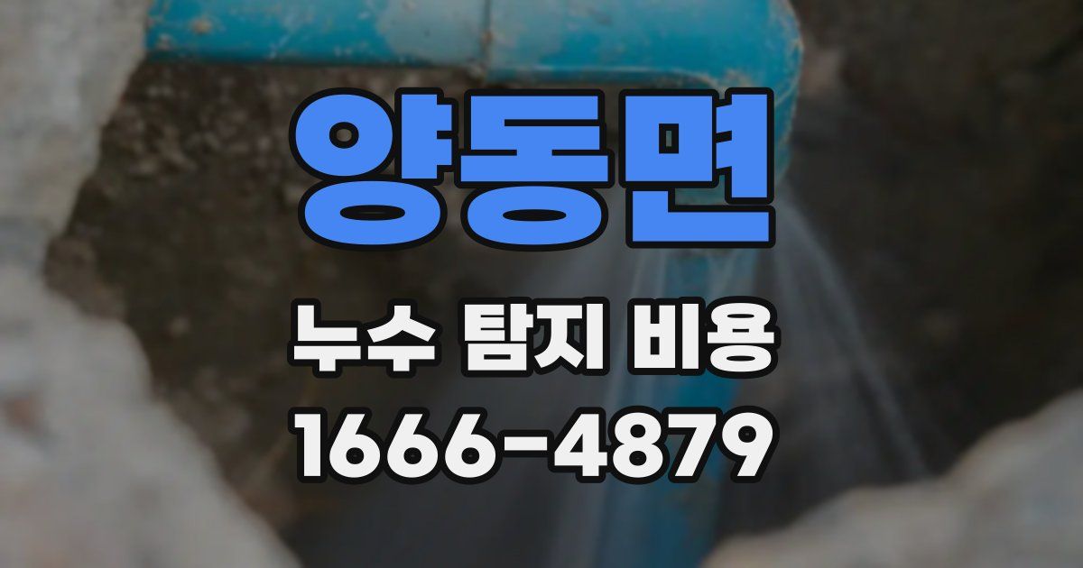 양동면 누수 탐지 비용
