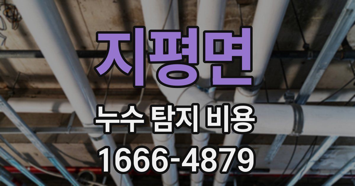 지평면 누수 탐지 비용