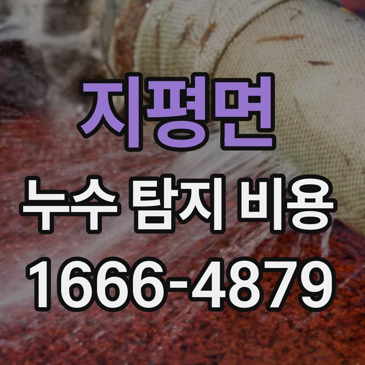 지평면 누수 탐지 비용