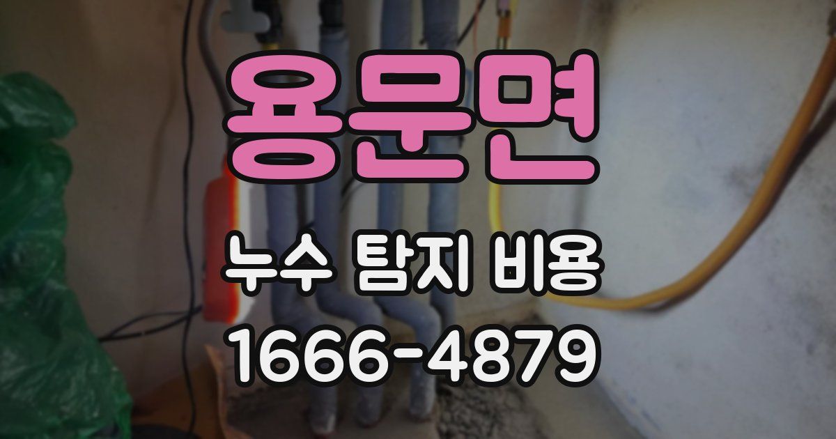 용문면 누수 탐지 비용