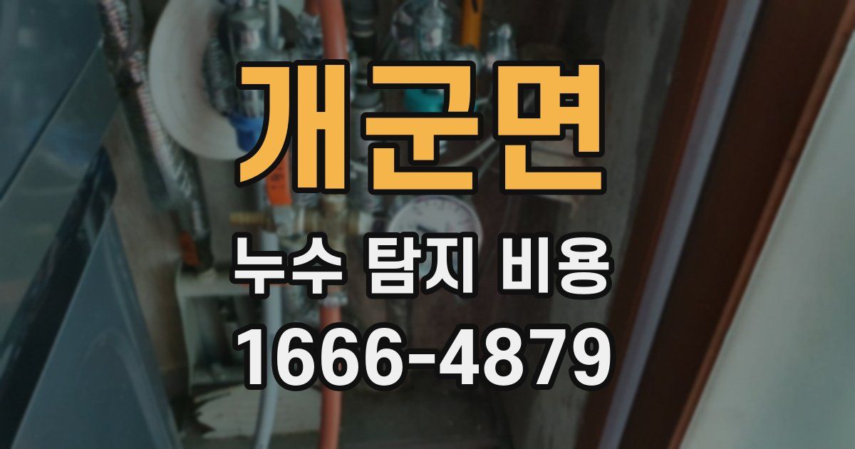 개군면 누수 탐지 비용