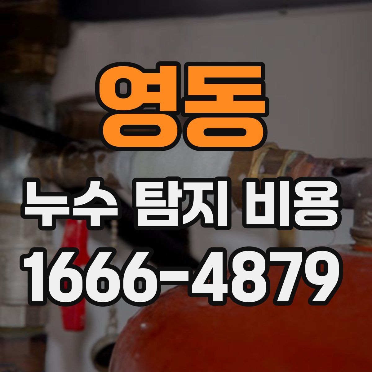영동 누수 탐지 비용