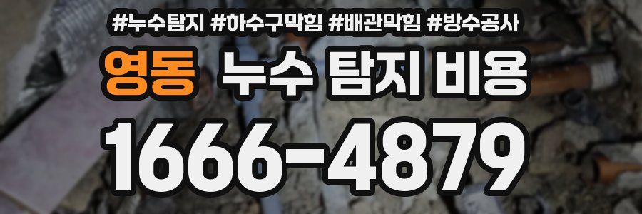 영동 누수 탐지 비용