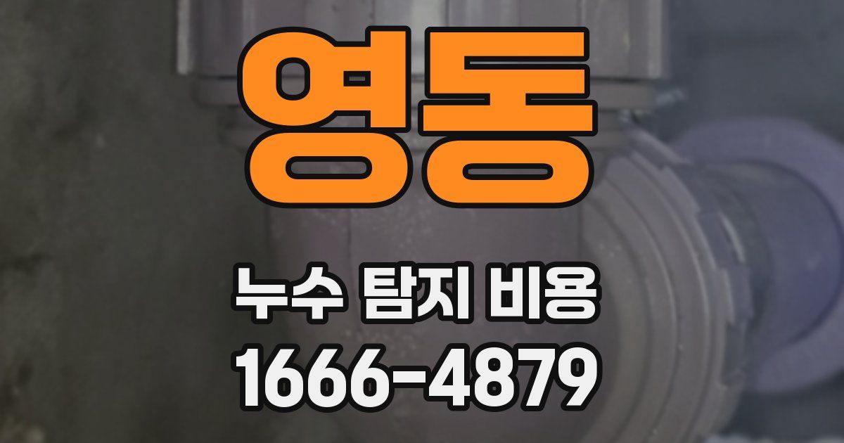 영동 누수 탐지 비용