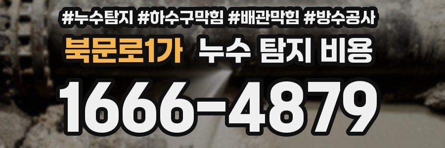 북문로1가 누수 탐지 비용