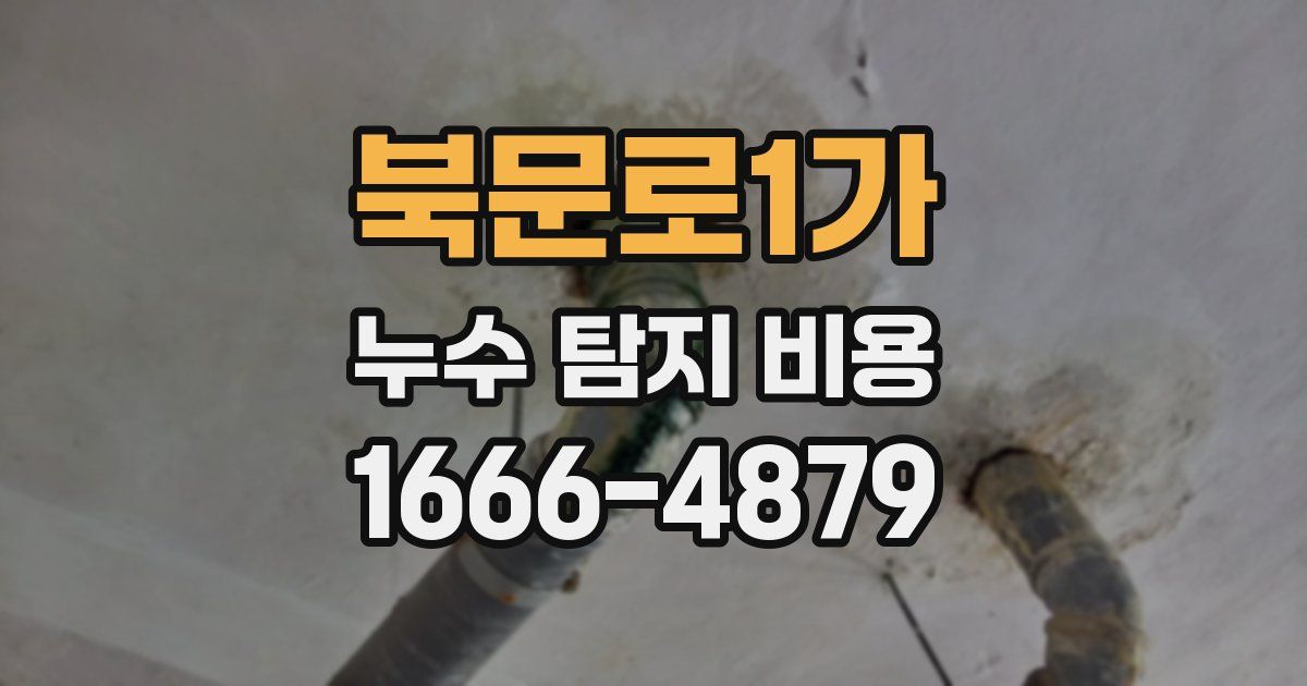북문로1가 누수 탐지 비용