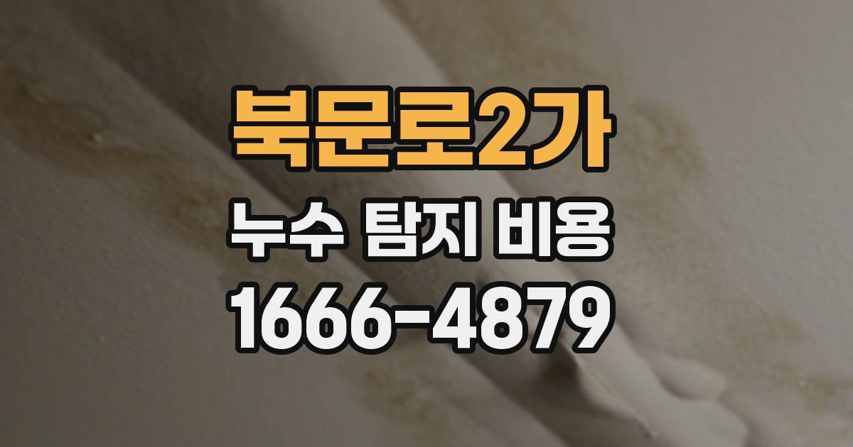 북문로2가 누수 탐지 비용