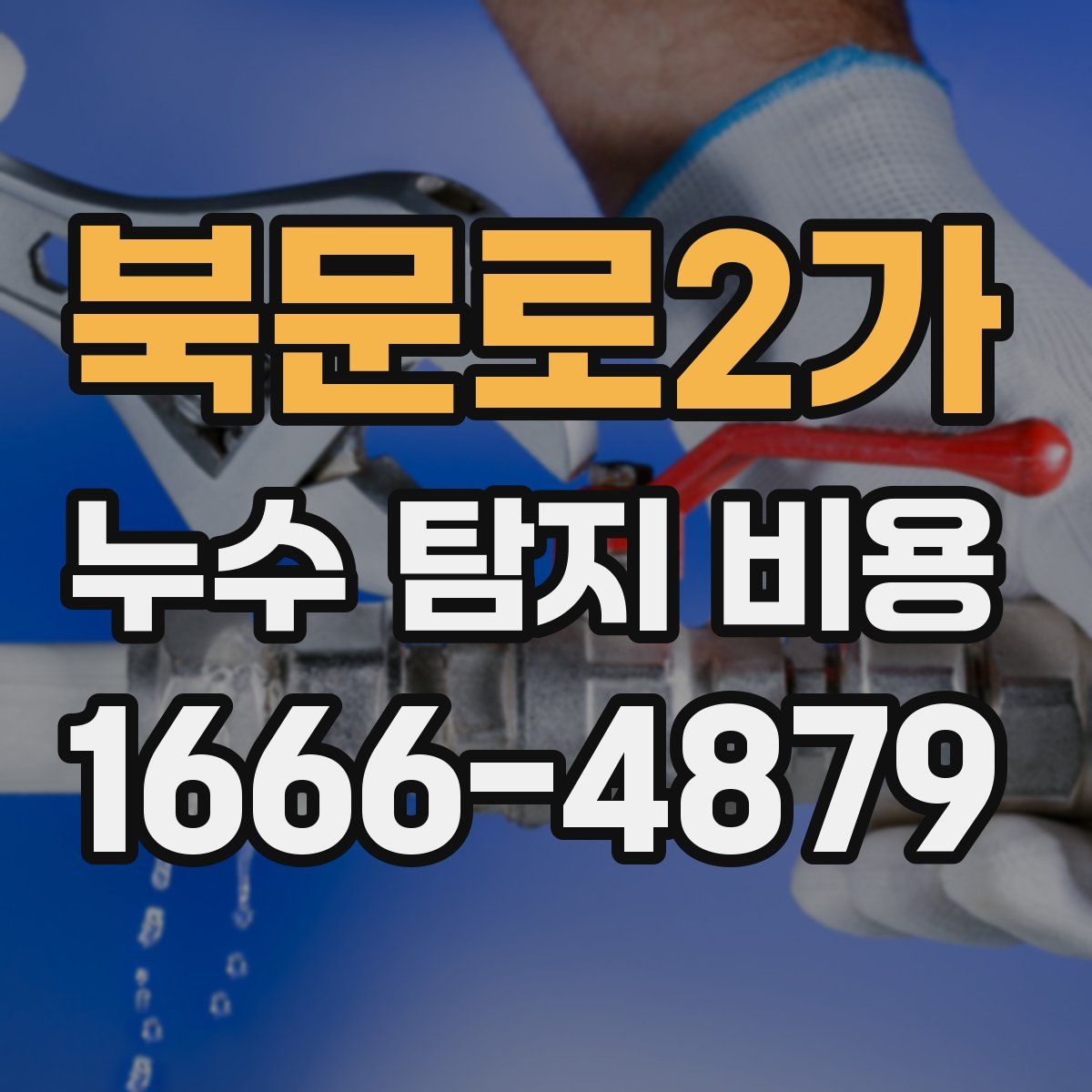 북문로2가 누수 탐지 비용