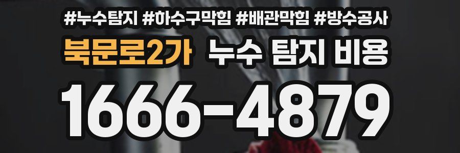 북문로2가 누수 탐지 비용