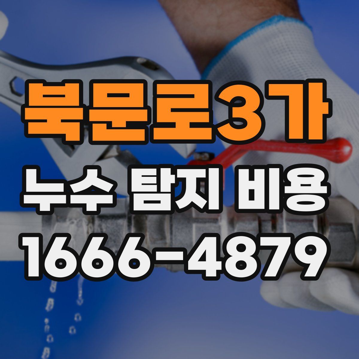 북문로3가 누수 탐지 비용