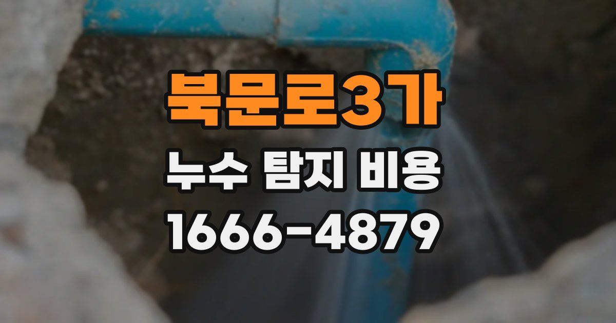 북문로3가 누수 탐지 비용