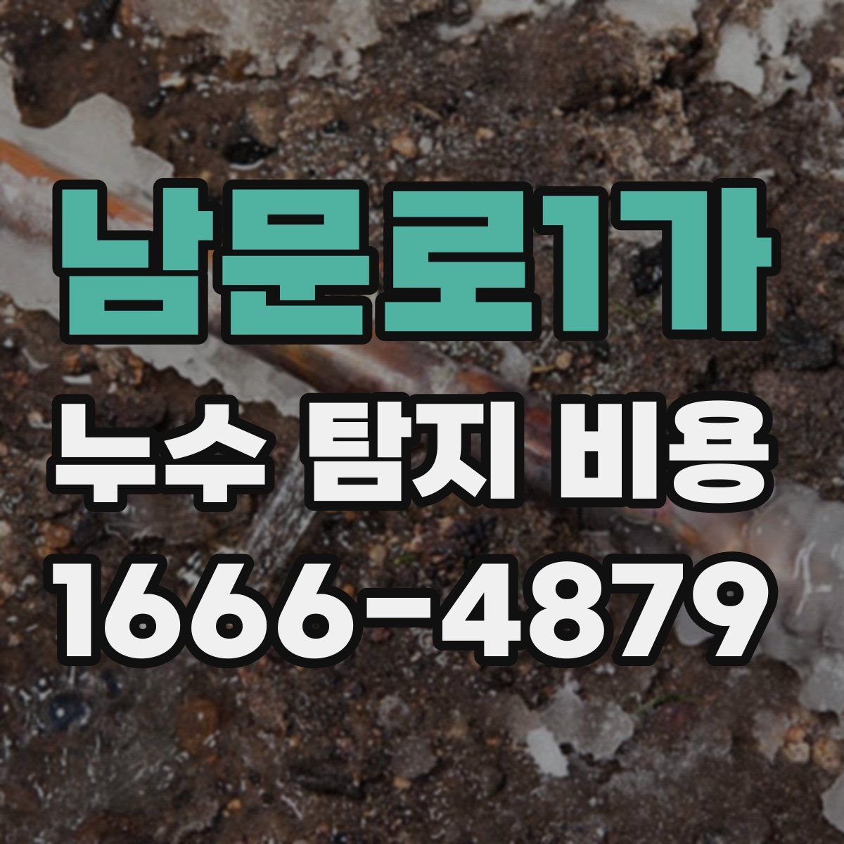 남문로1가 누수 탐지 비용