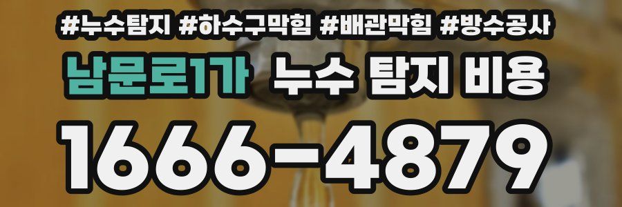남문로1가 누수 탐지 비용