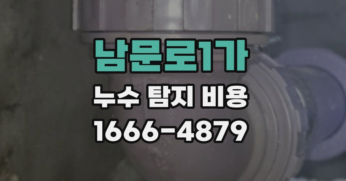 남문로1가 누수 탐지 비용