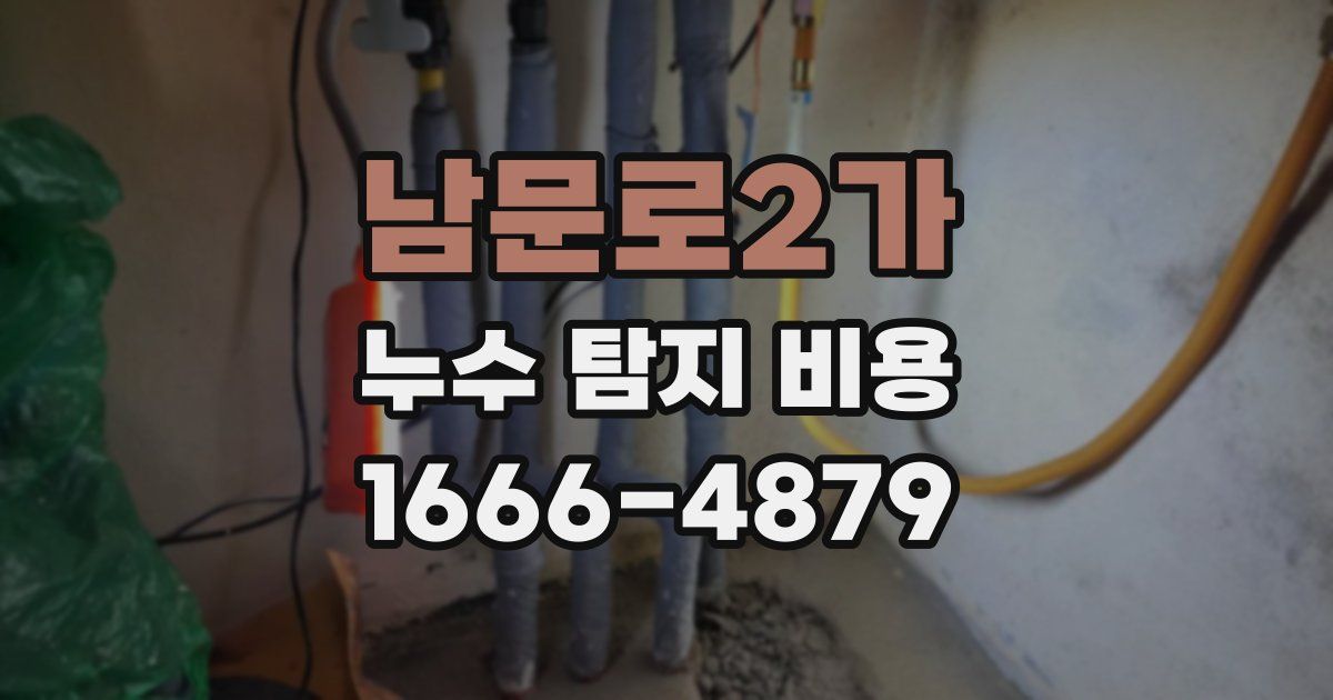 남문로2가 누수 탐지 비용