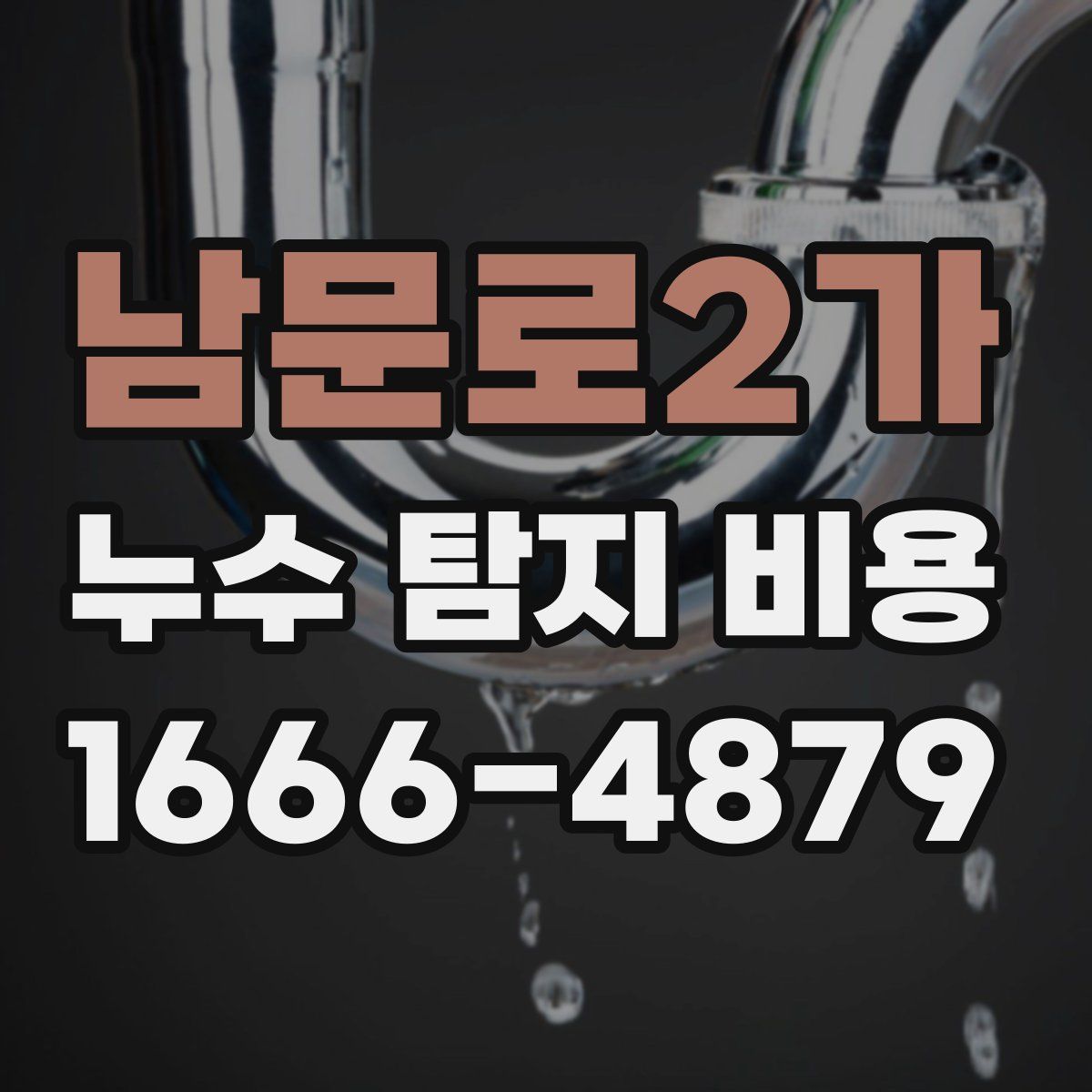 남문로2가 누수 탐지 비용
