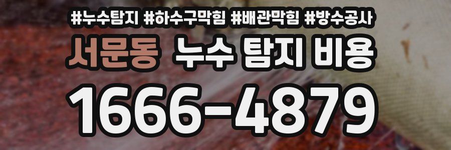 서문동 누수 탐지 비용