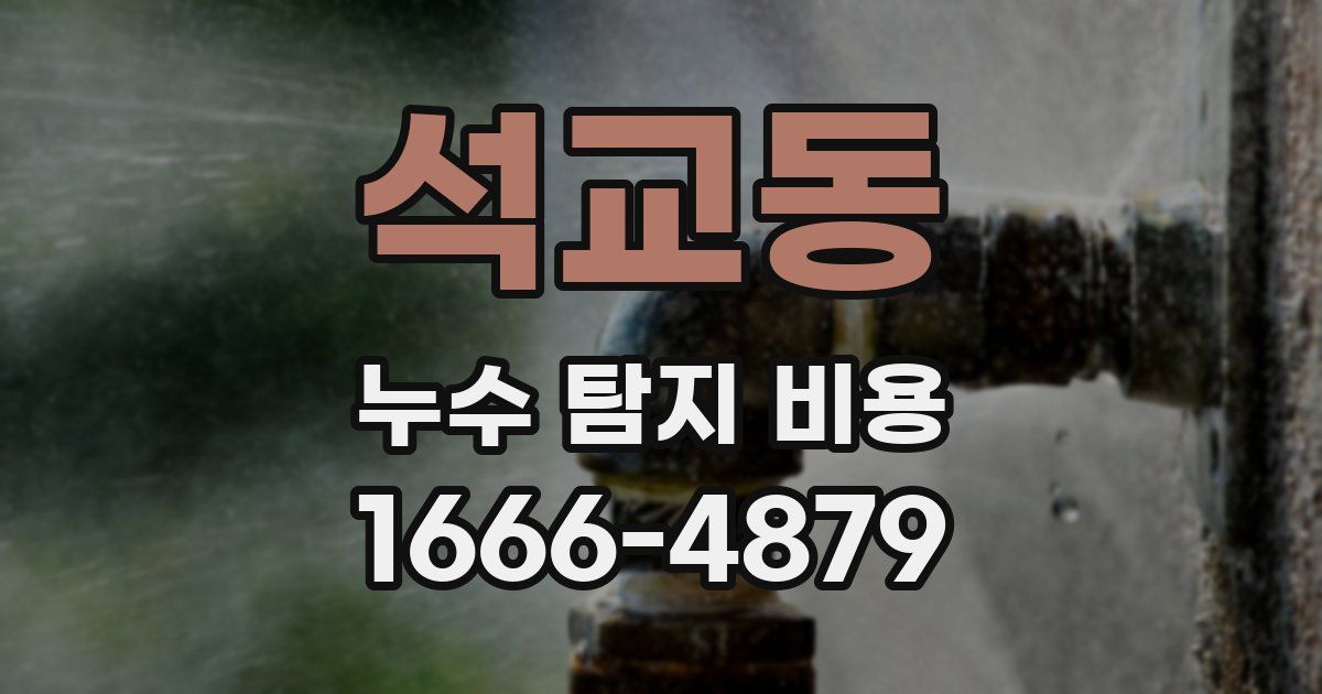 석교동 누수 탐지 비용