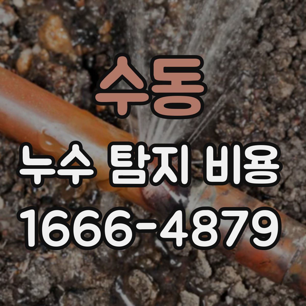 수동 누수 탐지 비용