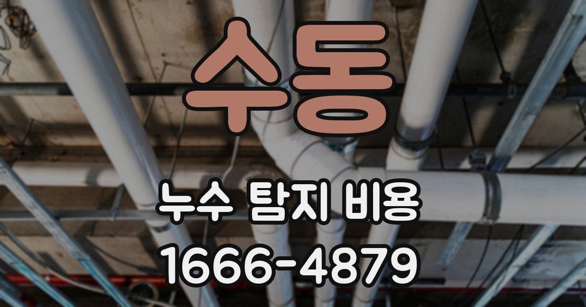 수동 누수 탐지 비용