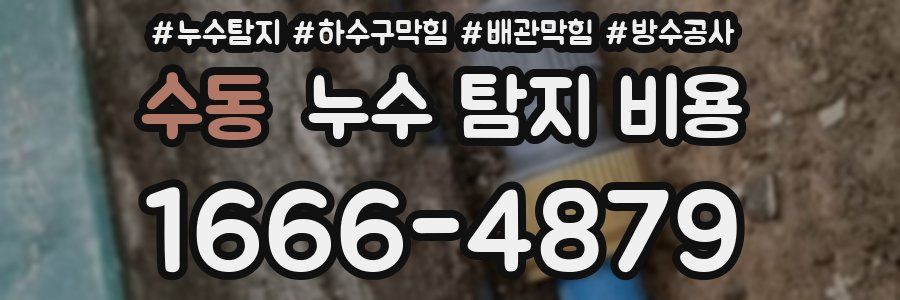 수동 누수 탐지 비용