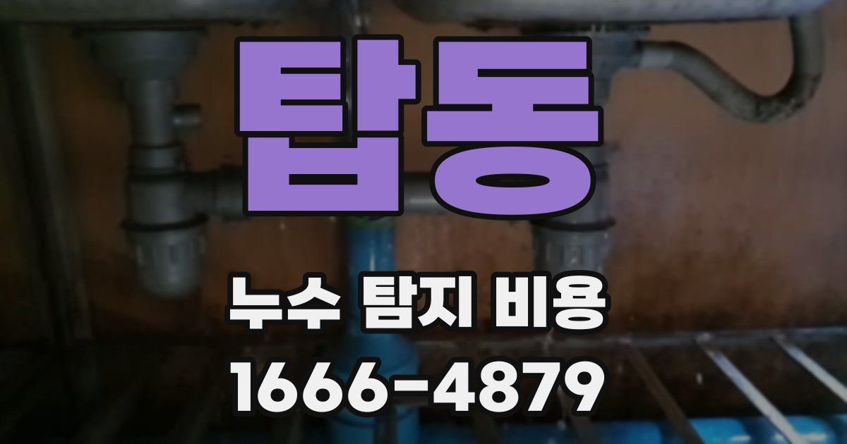 탑동 누수 탐지 비용