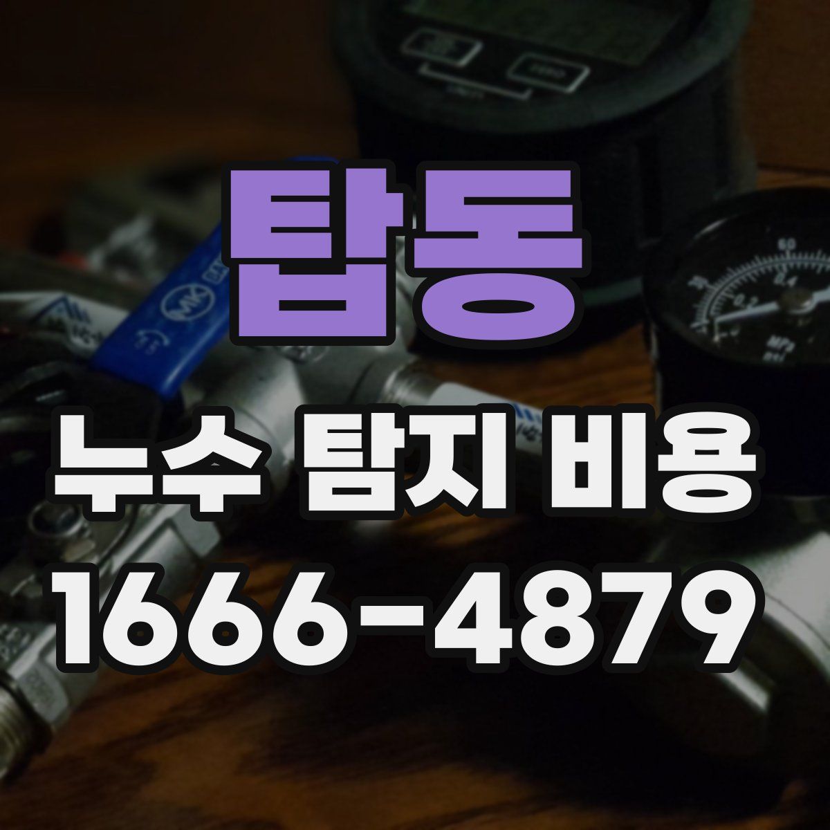 탑동 누수 탐지 비용