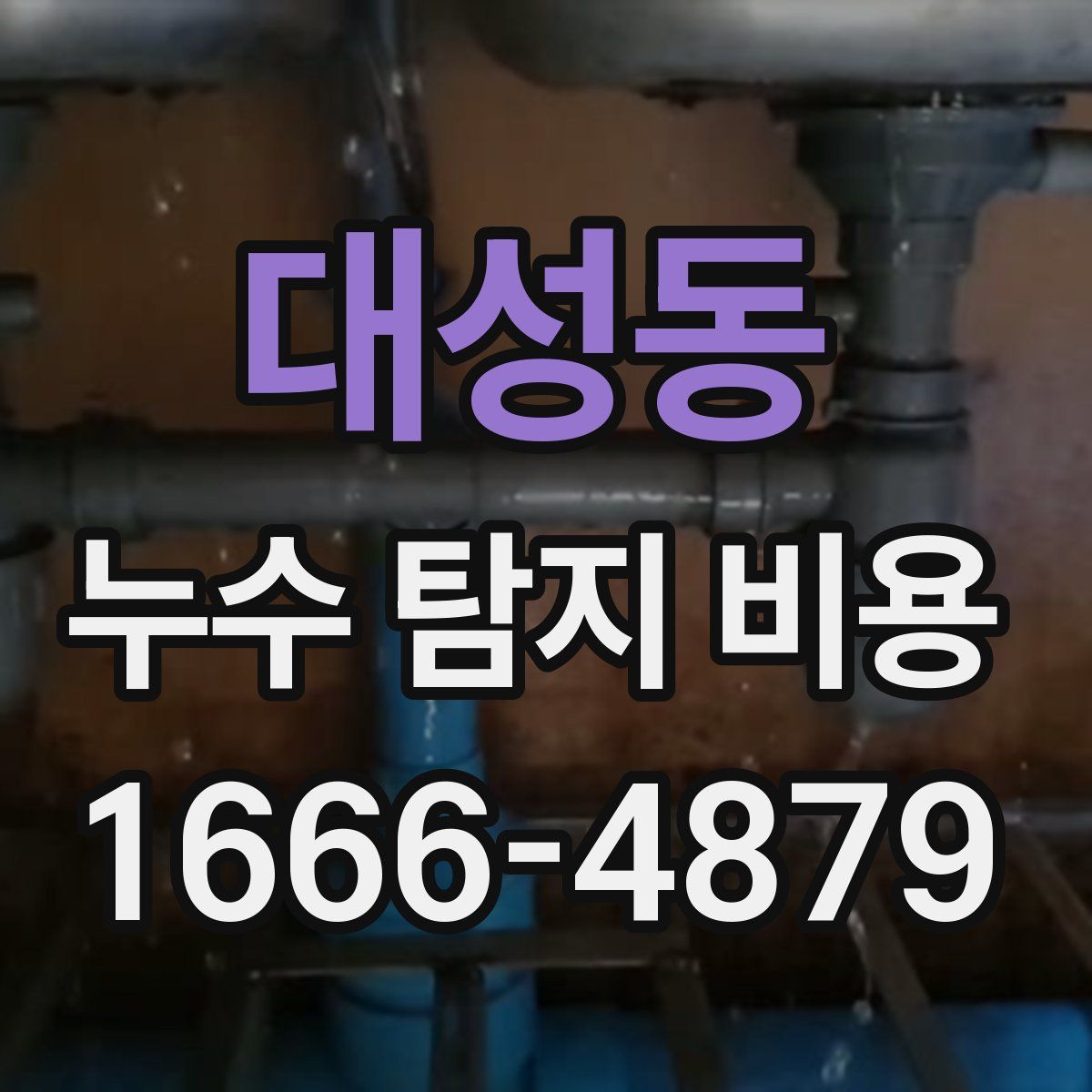 대성동 누수 탐지 비용