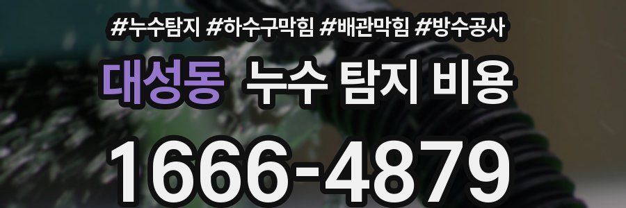 대성동 누수 탐지 비용