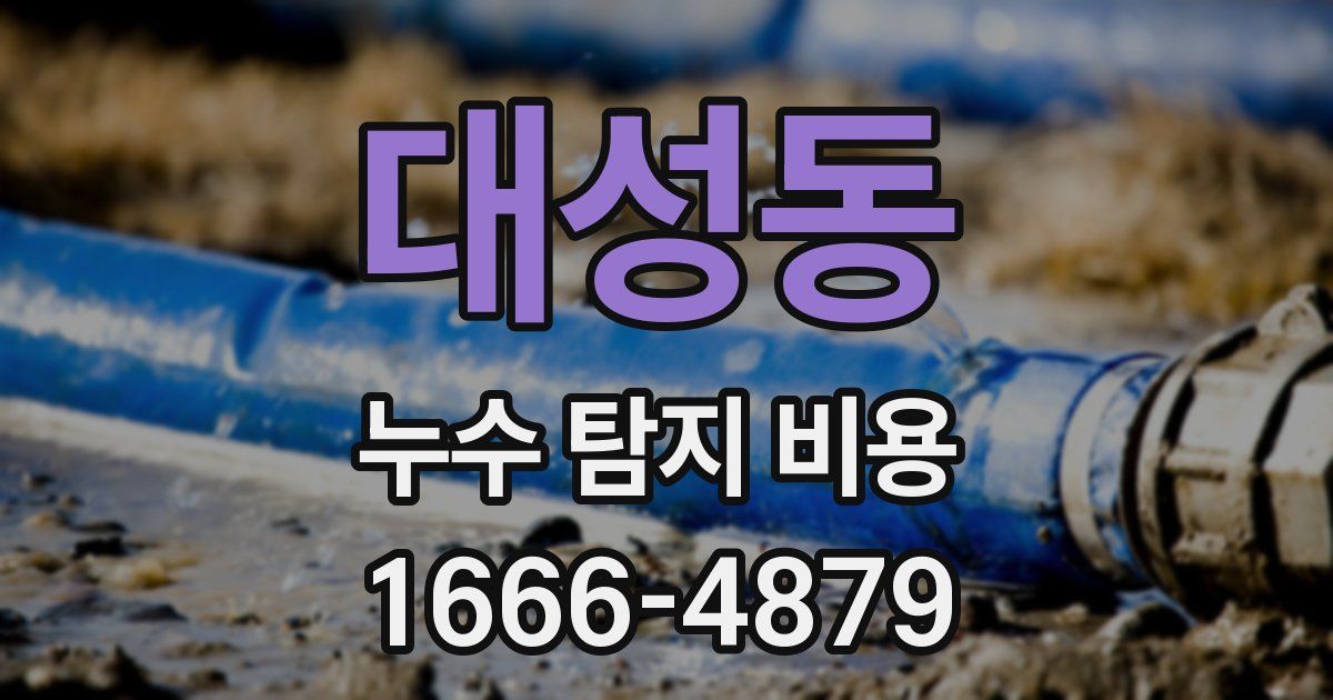 대성동 누수 탐지 비용