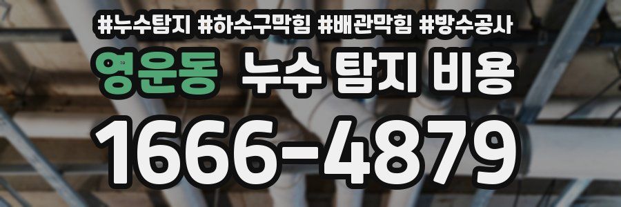 영운동 누수 탐지 비용