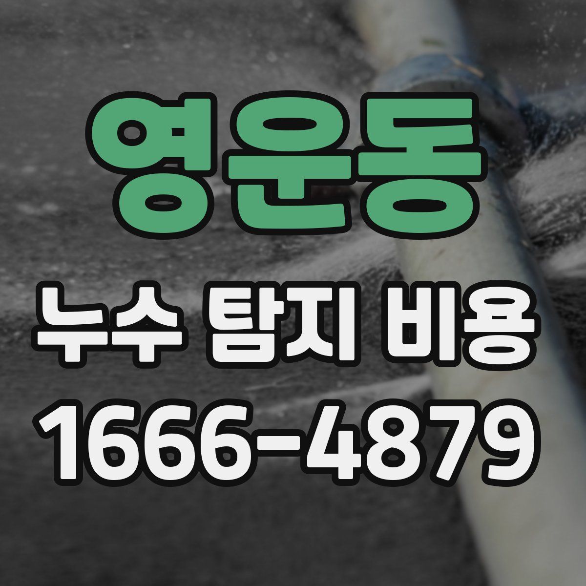 영운동 누수 탐지 비용