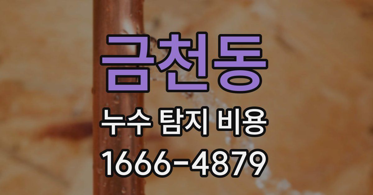 금천동 누수 탐지 비용