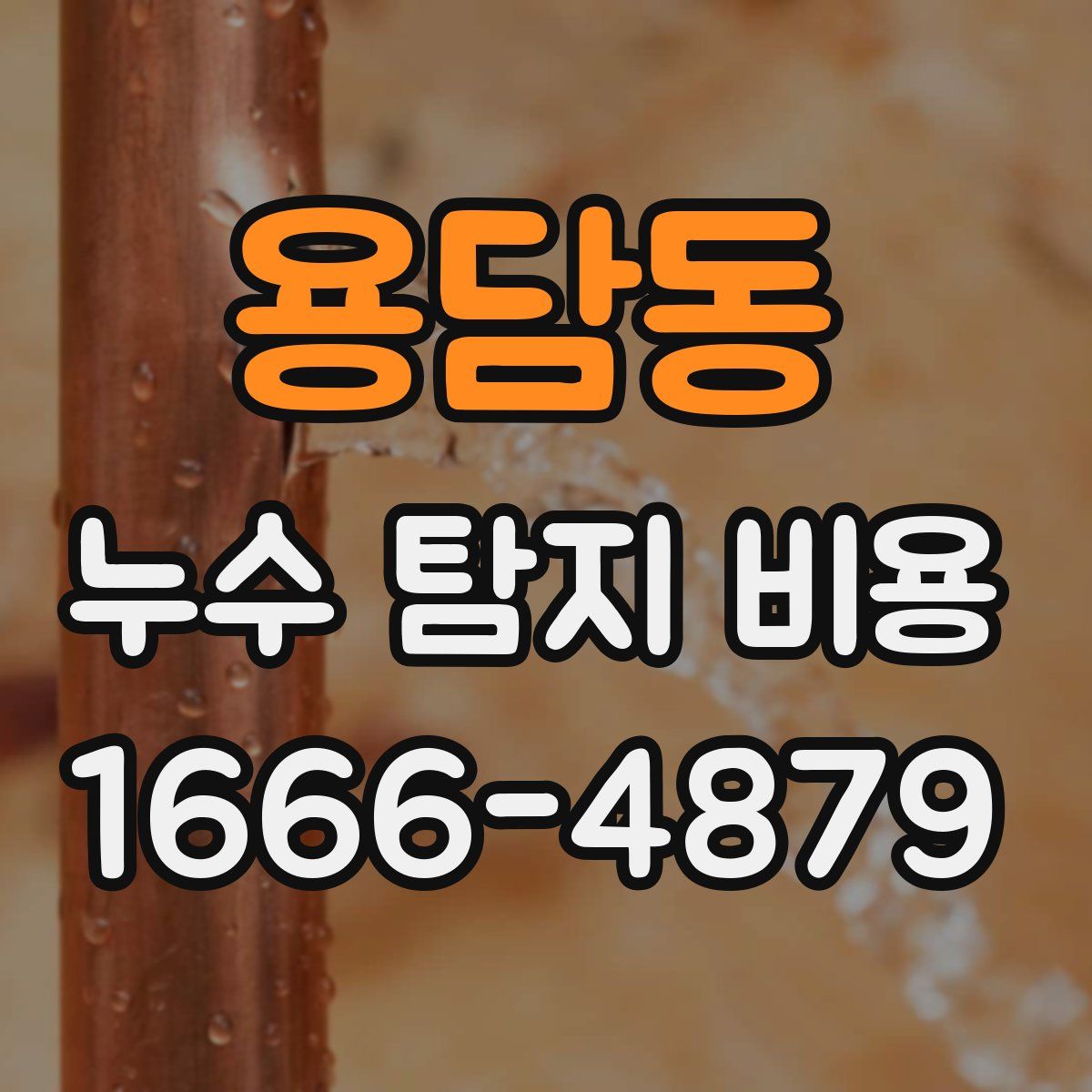 용담동 누수 탐지 비용