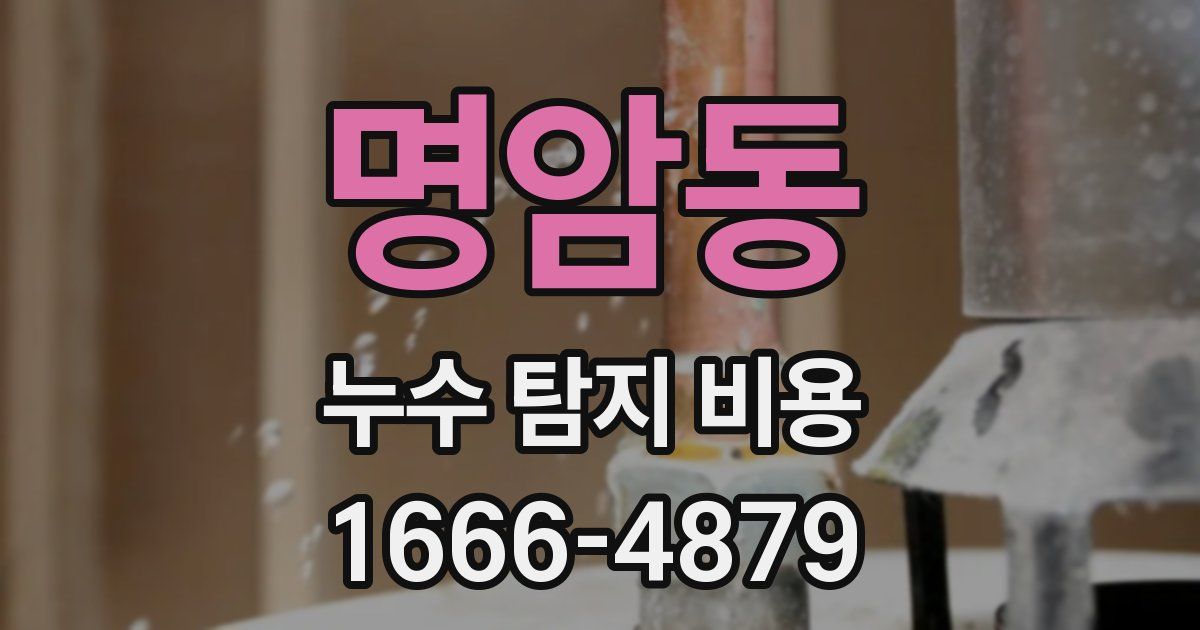 명암동 누수 탐지 비용