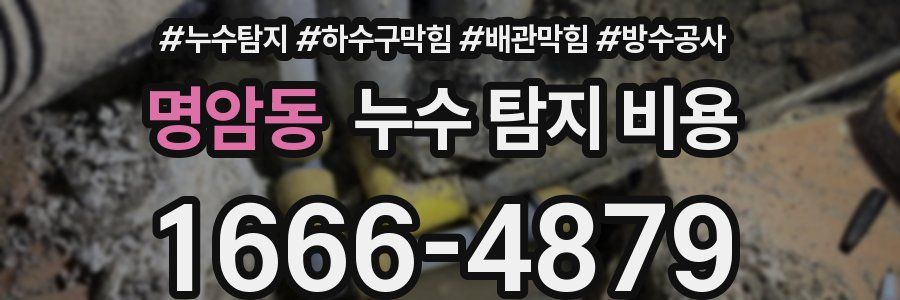 명암동 누수 탐지 비용