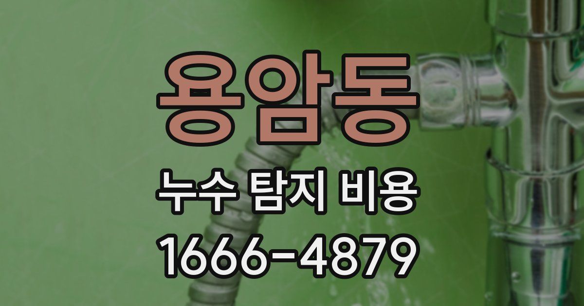 용암동 누수 탐지 비용