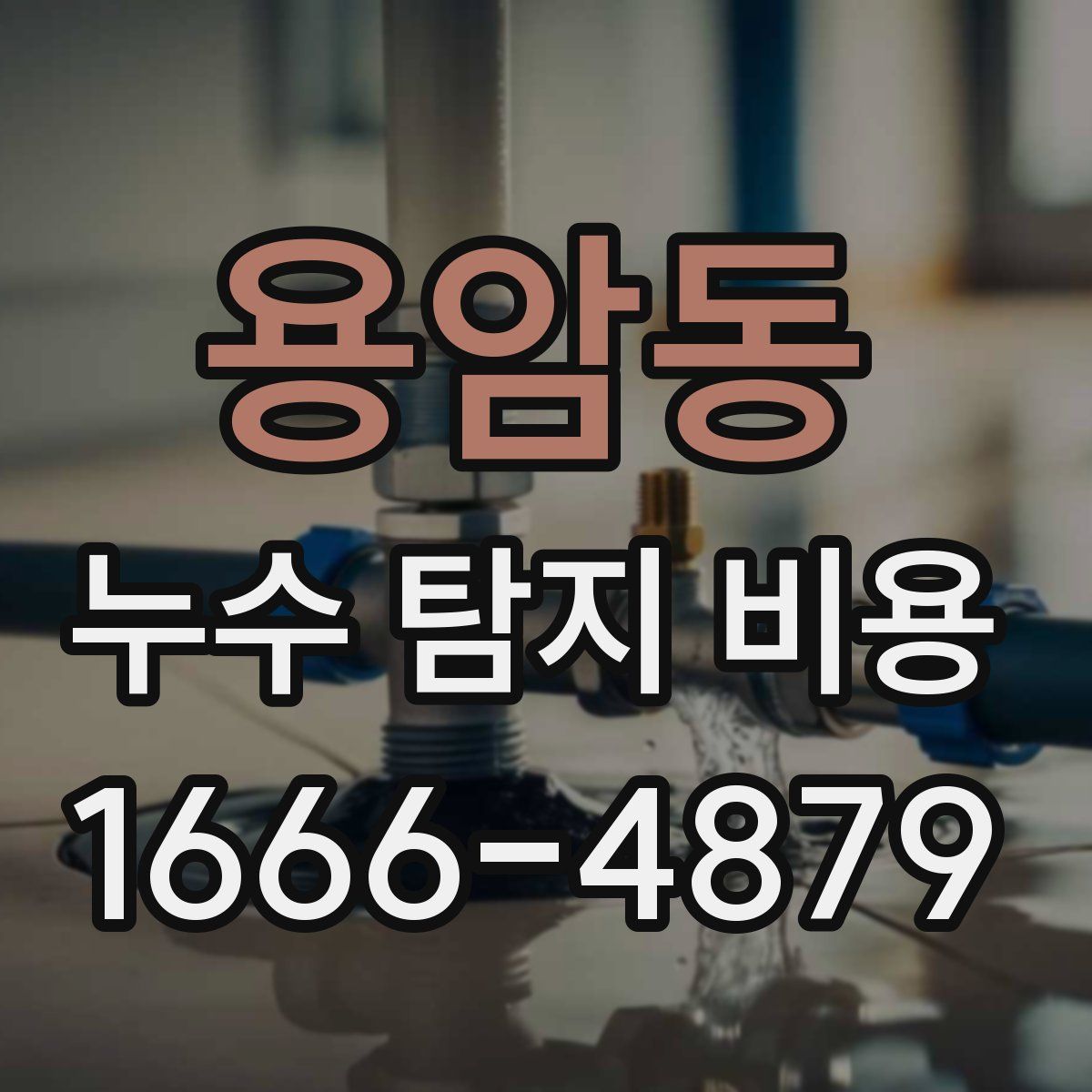 용암동 누수 탐지 비용