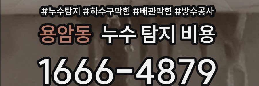 용암동 누수 탐지 비용