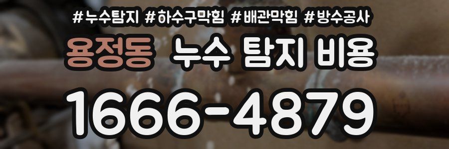 용정동 누수 탐지 비용
