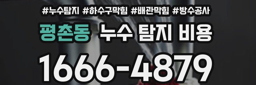 평촌동 누수 탐지 비용